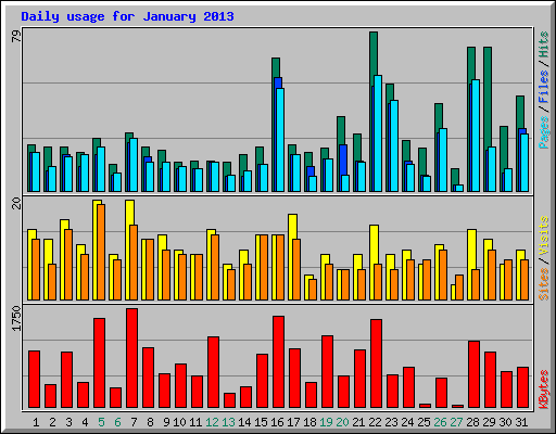 Daily usage for January 2013