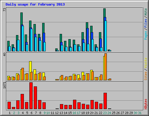 Daily usage for February 2013