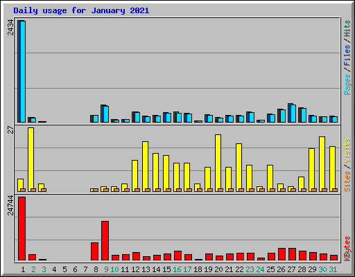 Daily usage for January 2021
