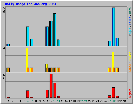 Daily usage for January 2024