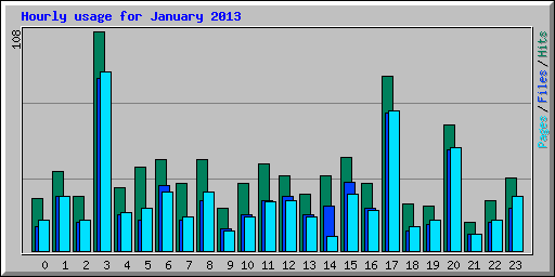Hourly usage for January 2013