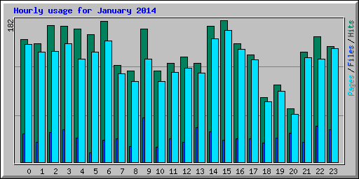 Hourly usage for January 2014