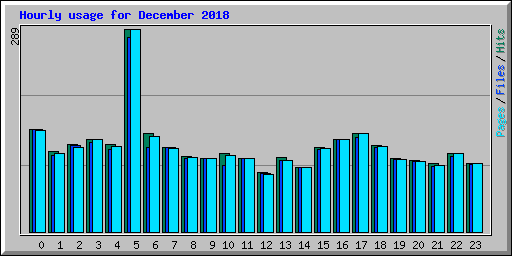 Hourly usage for December 2018