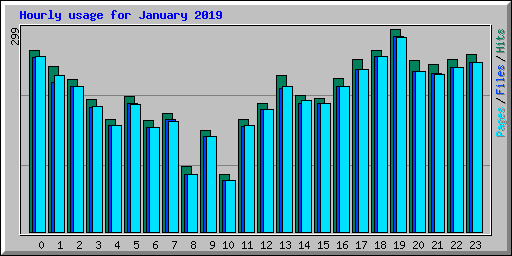 Hourly usage for January 2019