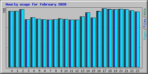 Hourly usage for February 2020