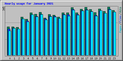 Hourly usage for January 2021