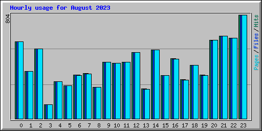 Hourly usage for August 2023