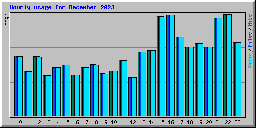 Hourly usage for December 2023