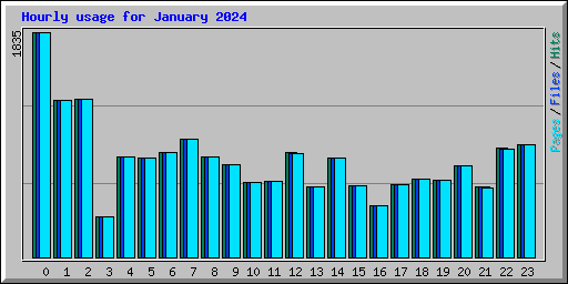 Hourly usage for January 2024