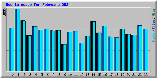 Hourly usage for February 2024
