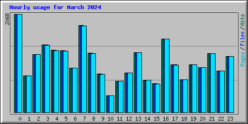 Hourly usage for March 2024