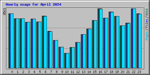 Hourly usage for April 2024