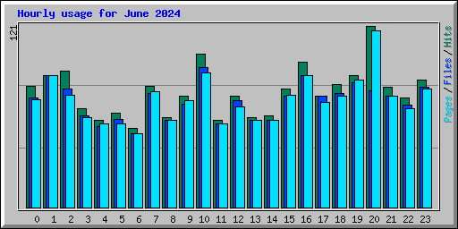 Hourly usage for June 2024