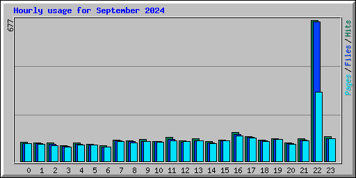 Hourly usage for September 2024