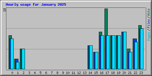 Hourly usage for January 2025