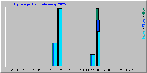 Hourly usage for February 2025