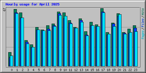 Hourly usage for April 2025