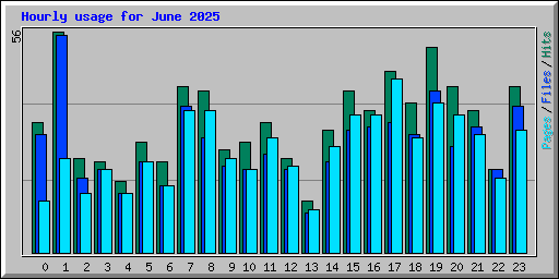 Hourly usage for June 2025