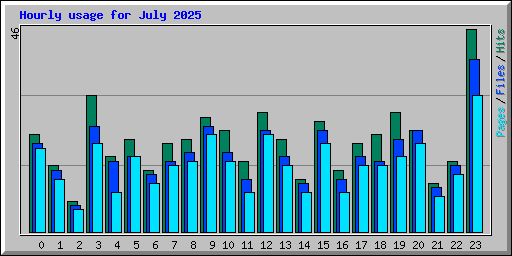 Hourly usage for July 2025