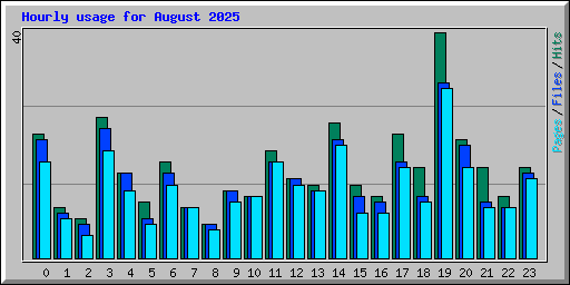 Hourly usage for August 2025