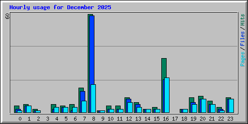 Hourly usage for December 2025