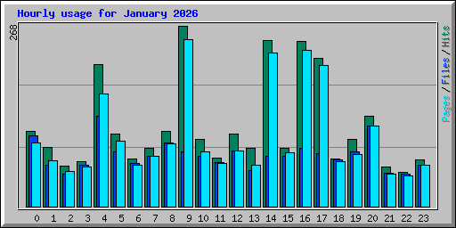 Hourly usage for January 2026